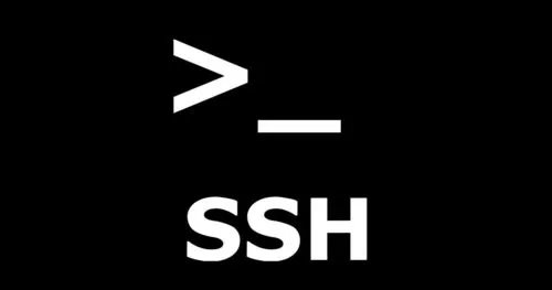 SSH蜜罐?伪造SSH!获取黑客字典为己用